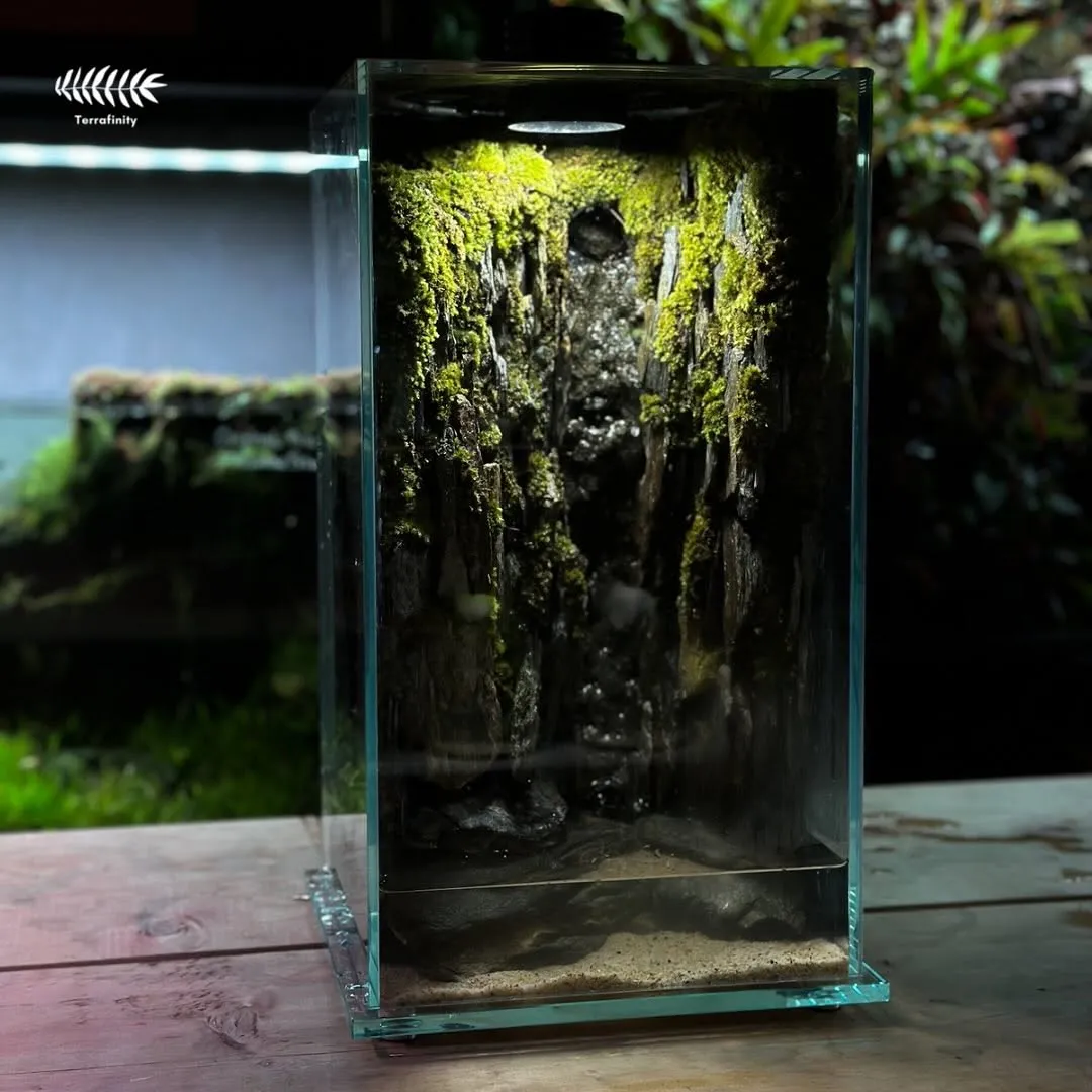 Terrariums