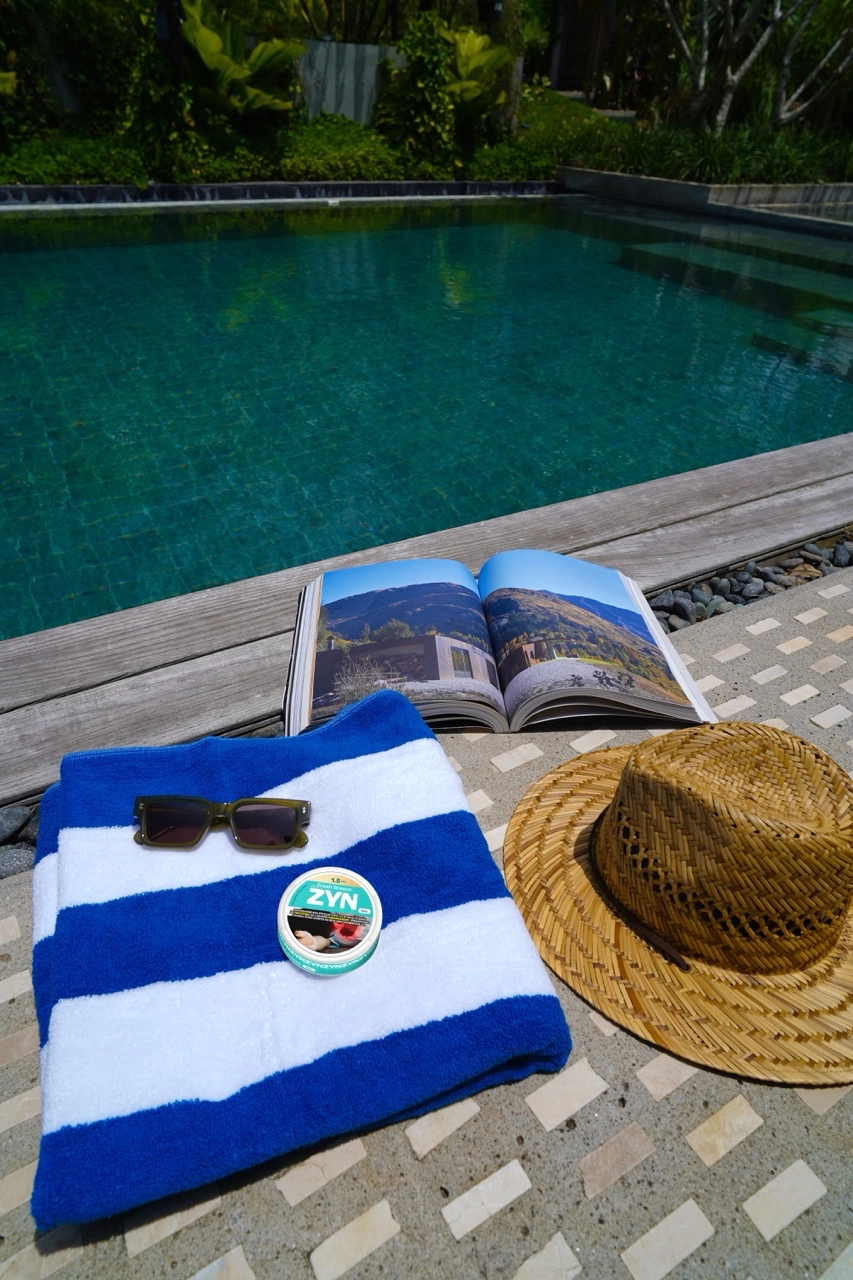 ZYN Summer 2026 nicotine smoke-free pouches