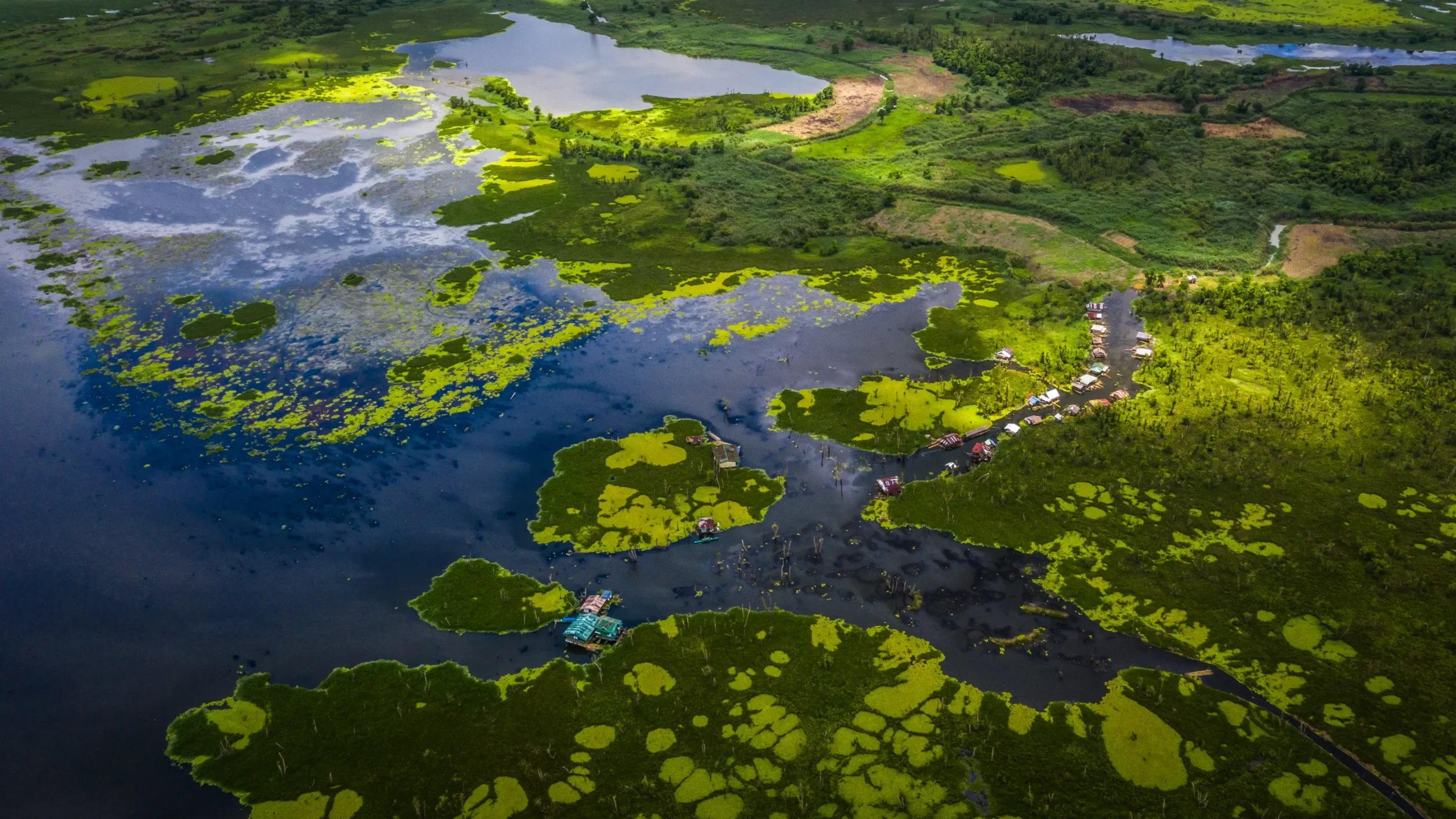 Agusan Marshlands/Photography by Gab Mejia