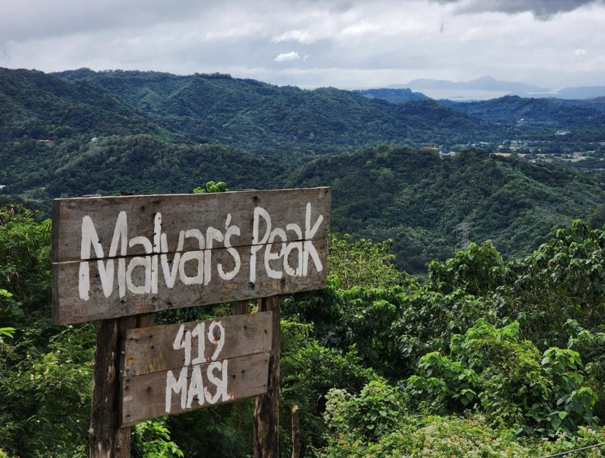 Beginner Hiking Trails