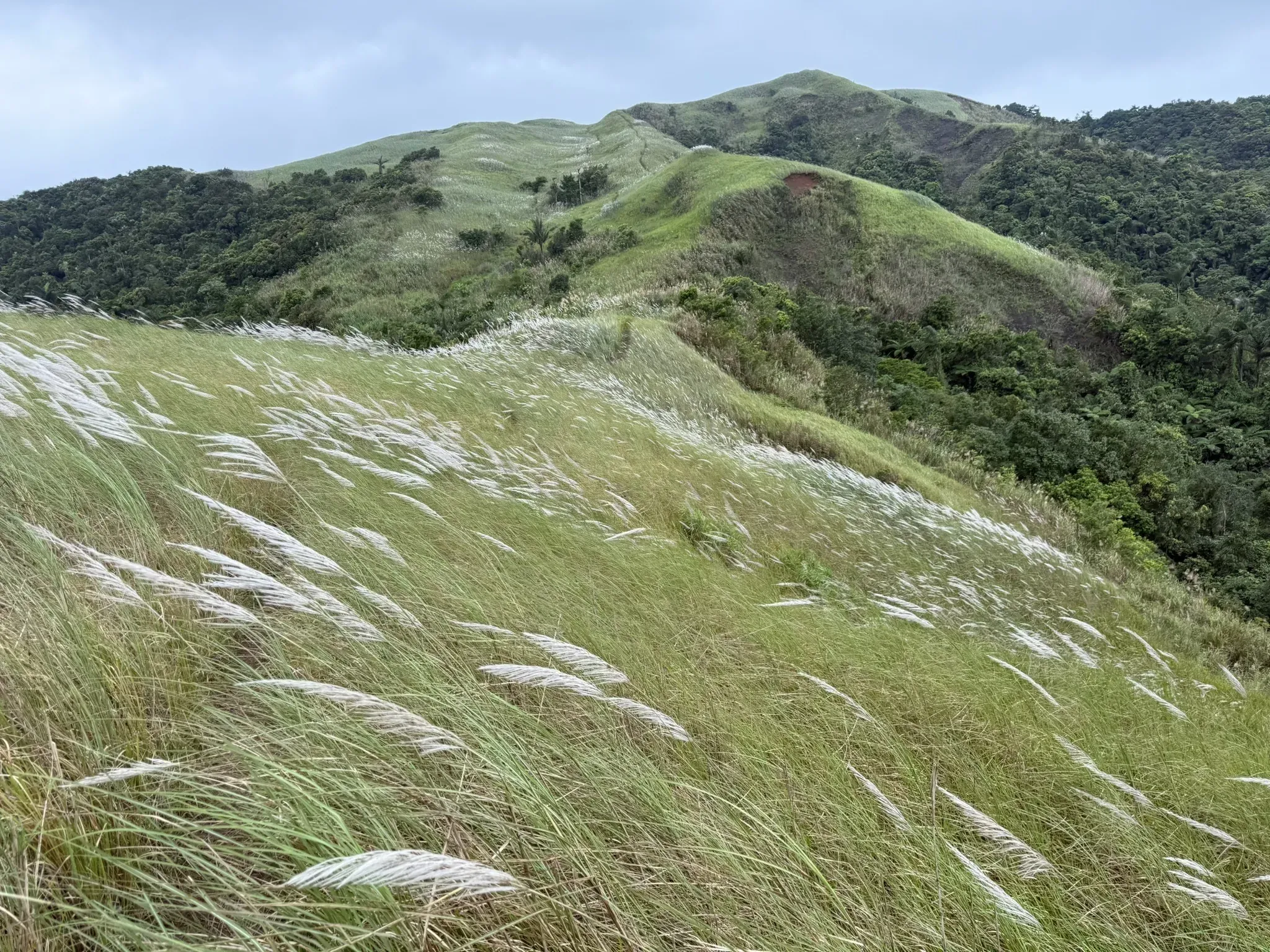 Beginner Hiking Trails