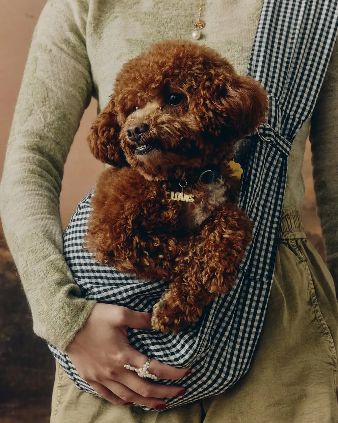 A dog in a sling wearing a bespoke tag by Sofia Yulo Fine Jewelry