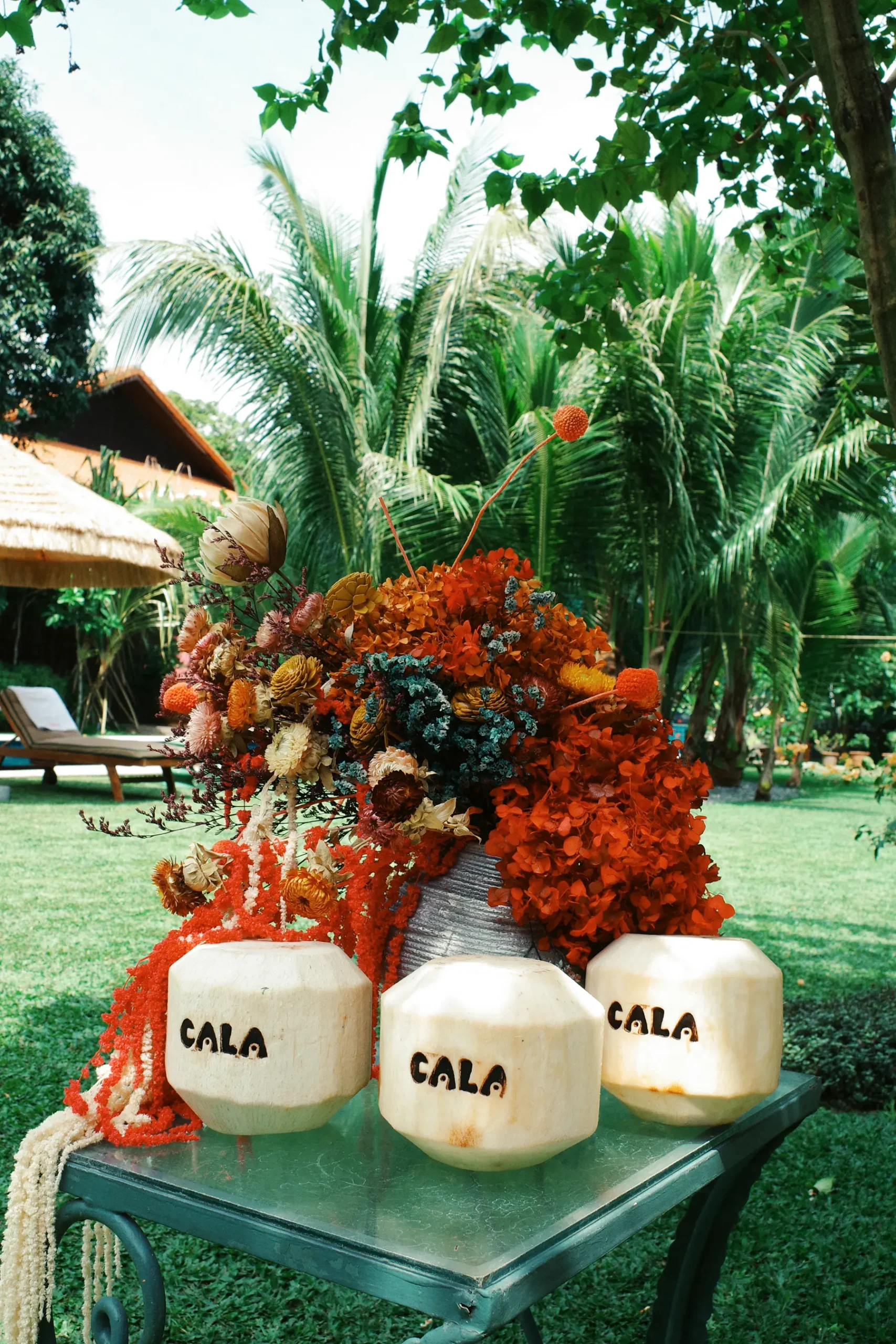 Inside the launch of CALA by Rocio Zobel
