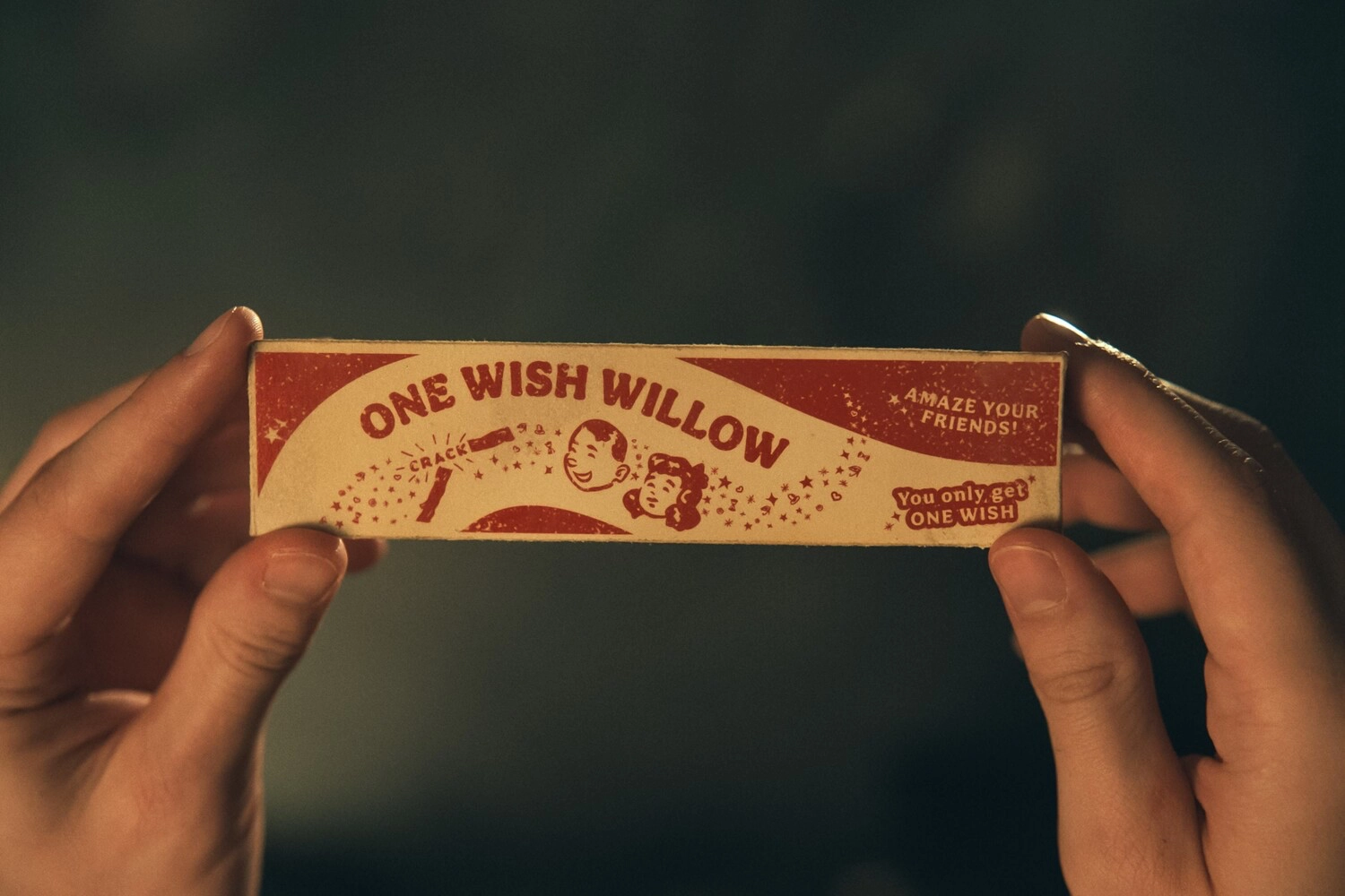 The One Wish Willow toy grants Bear's wish 