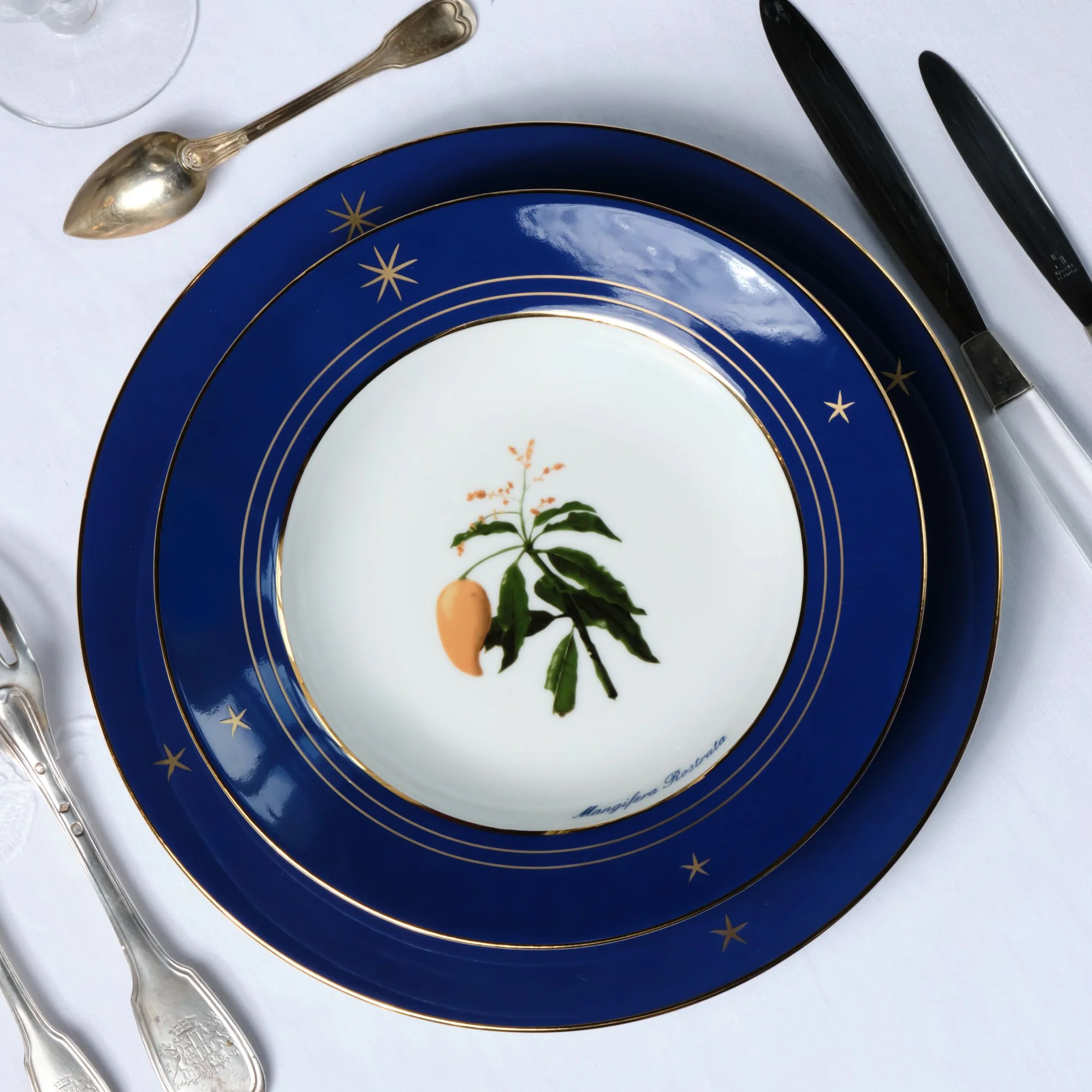 Flora de Filipinas Maison De Rivoli Launches Luxury Porcelain Collection Royal Limoges