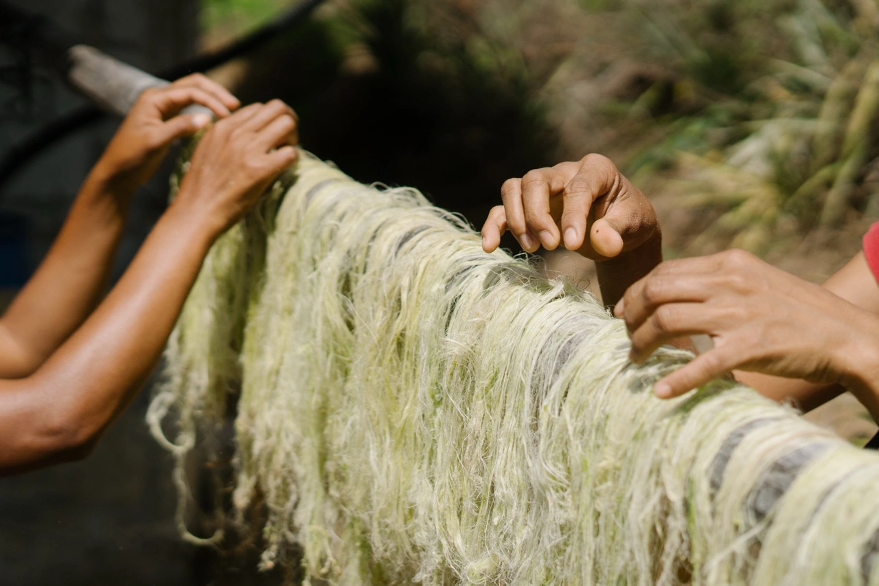 Piña Fabric