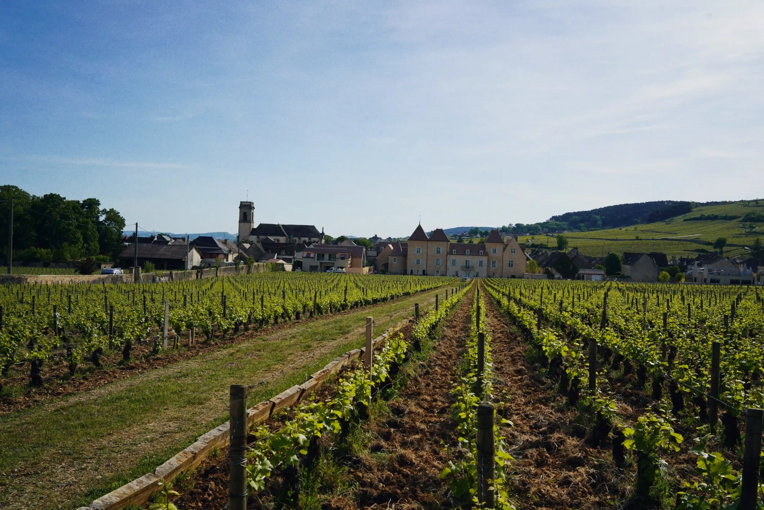 A Pilgrimage To Wine Country With Jaime Jalandoni Of Premium Wine Exchange PWX