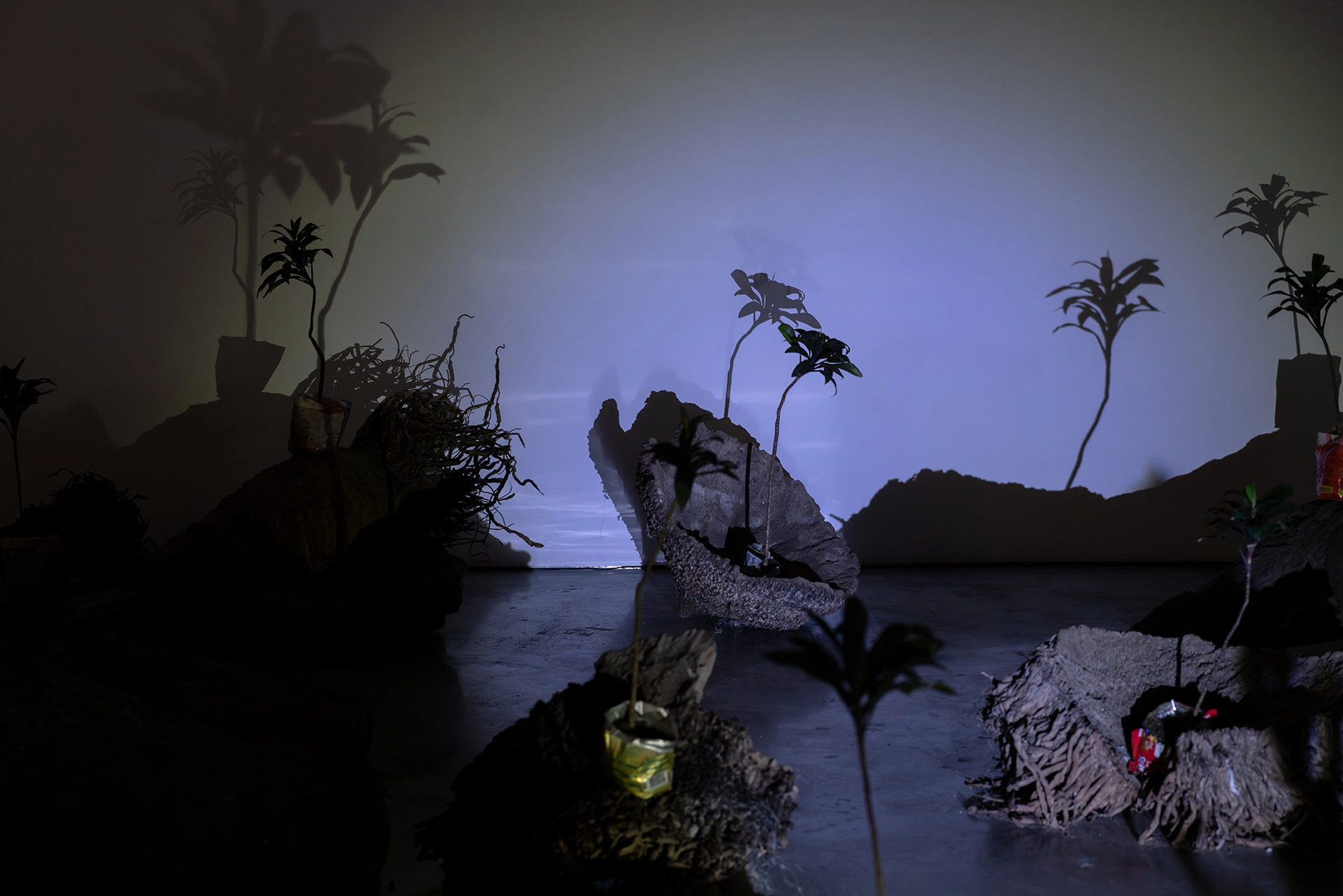 Inside The Coconut Tree Methodology exhibition by Martha Atienza at Silverlens