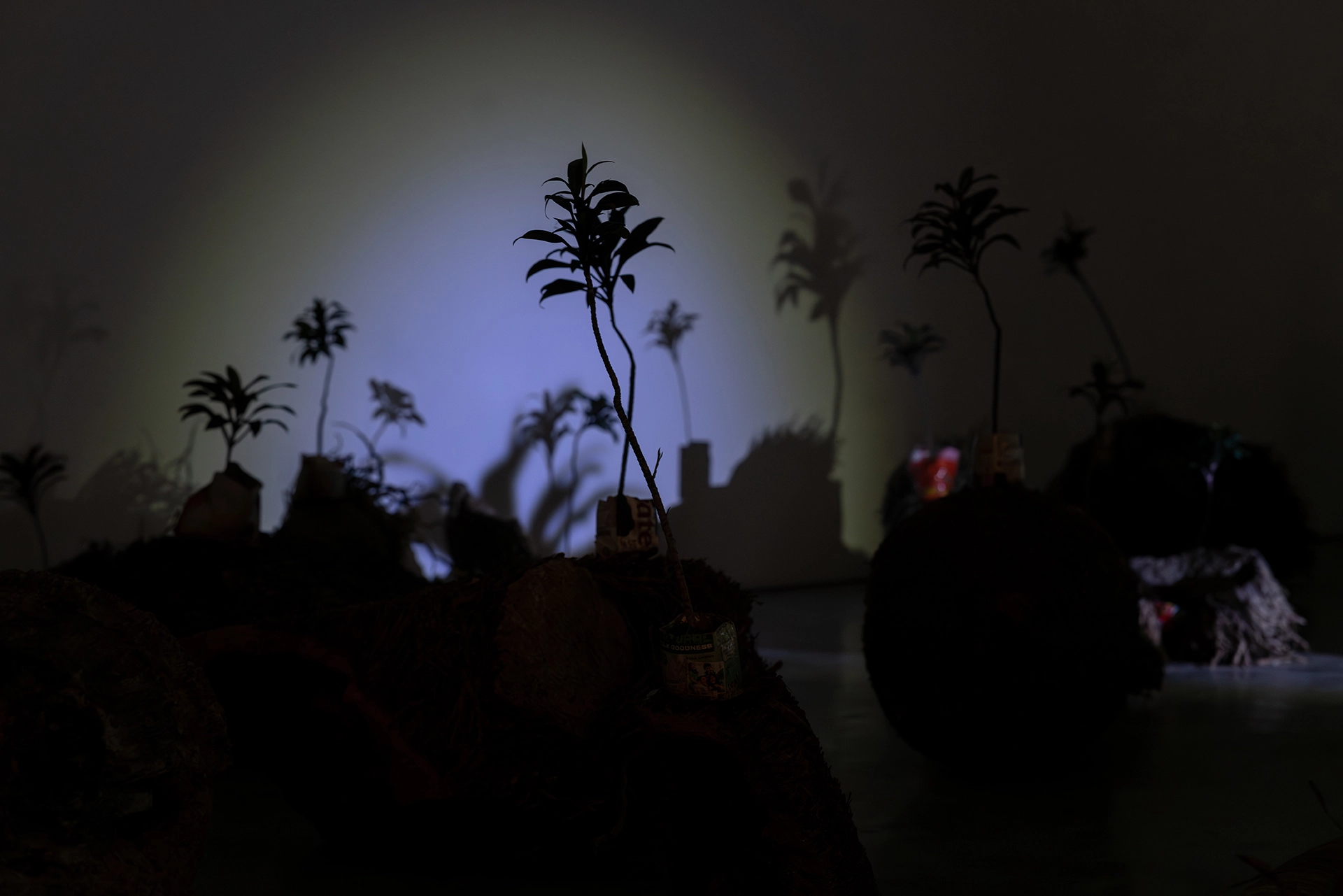 Inside The Coconut Tree Methodology exhibition by Martha Atienza at Silverlens