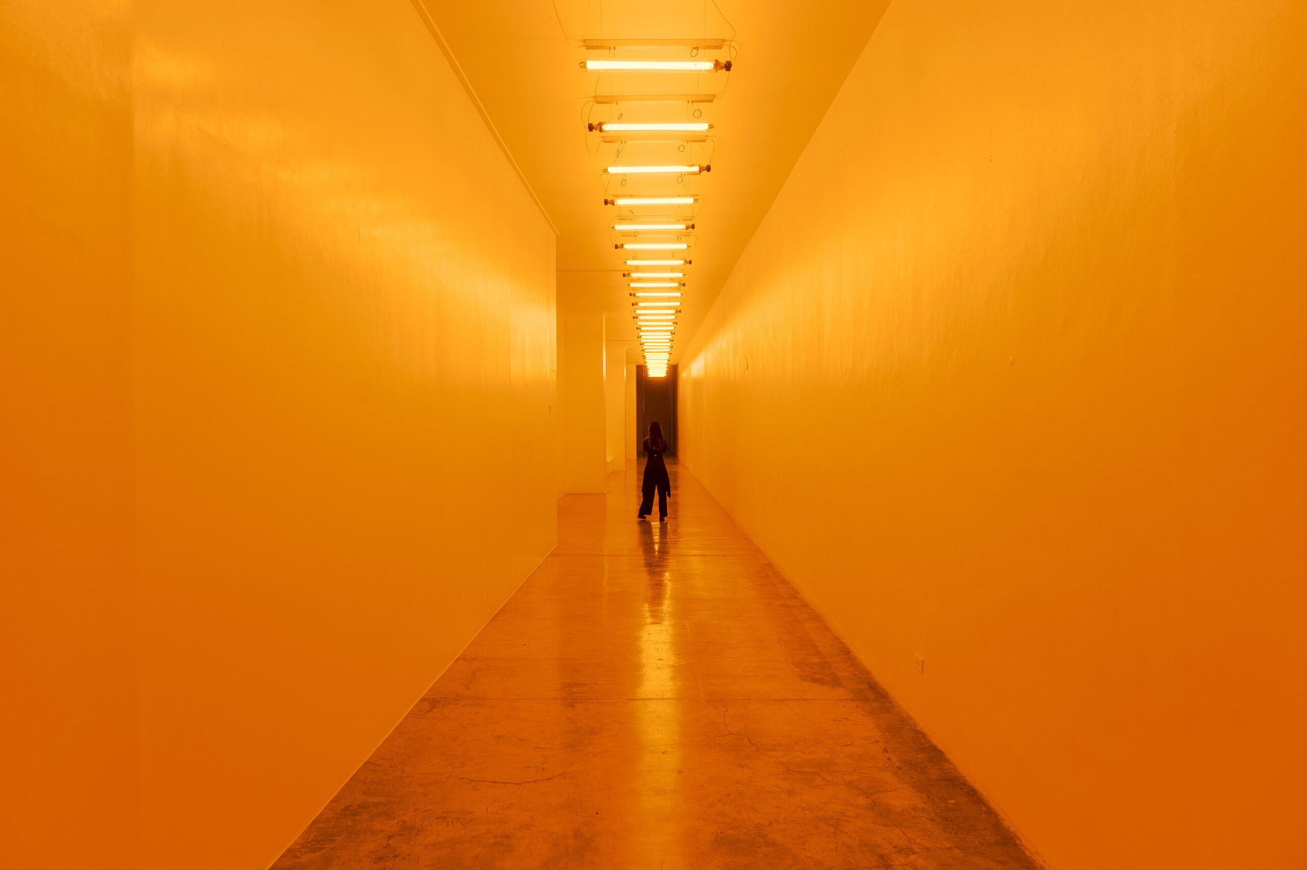 Olafur Eliasson Manila yellow corrdior Museum of Contemporary Art and Design