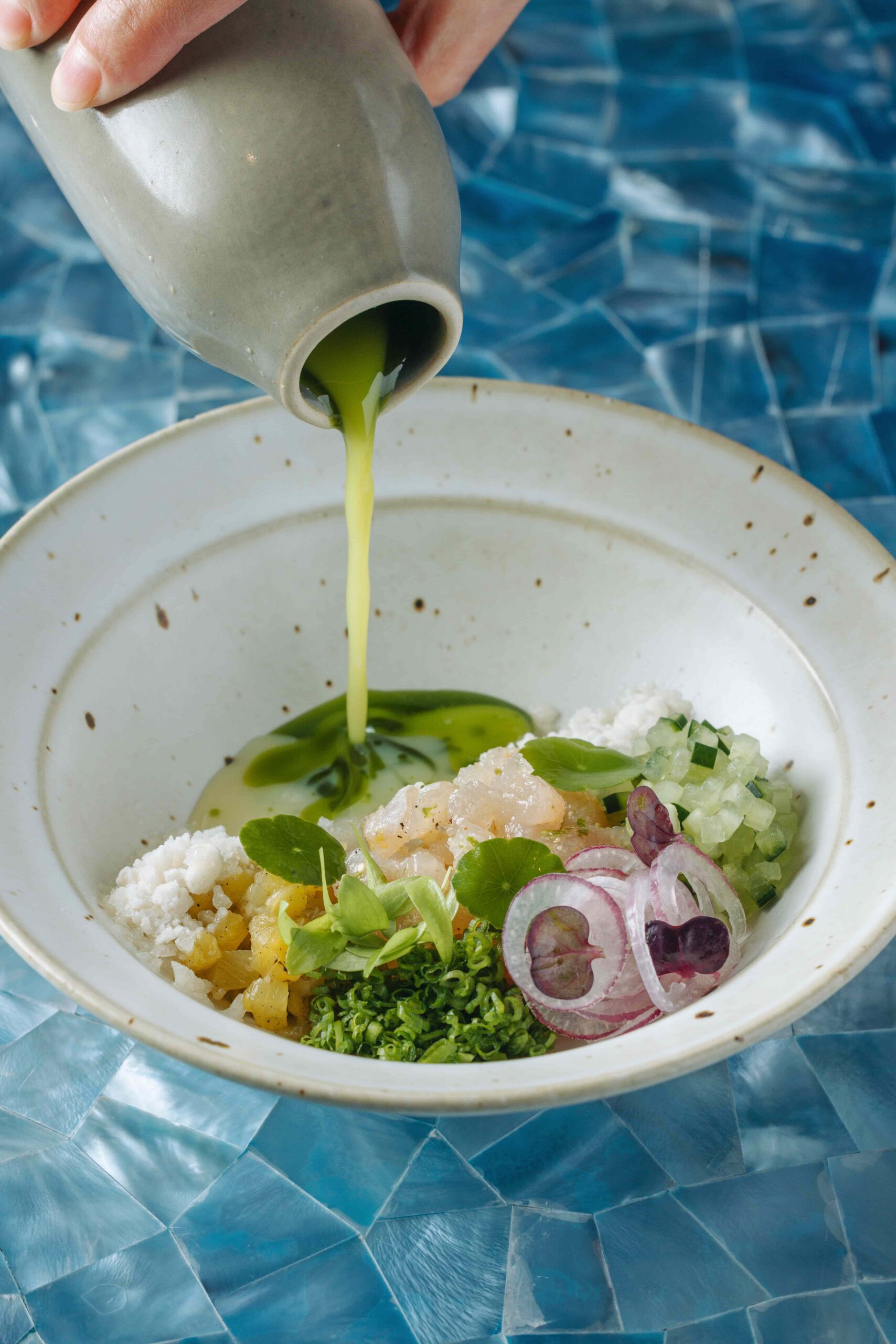 Cerulean Kombu Mackerel Ceviche