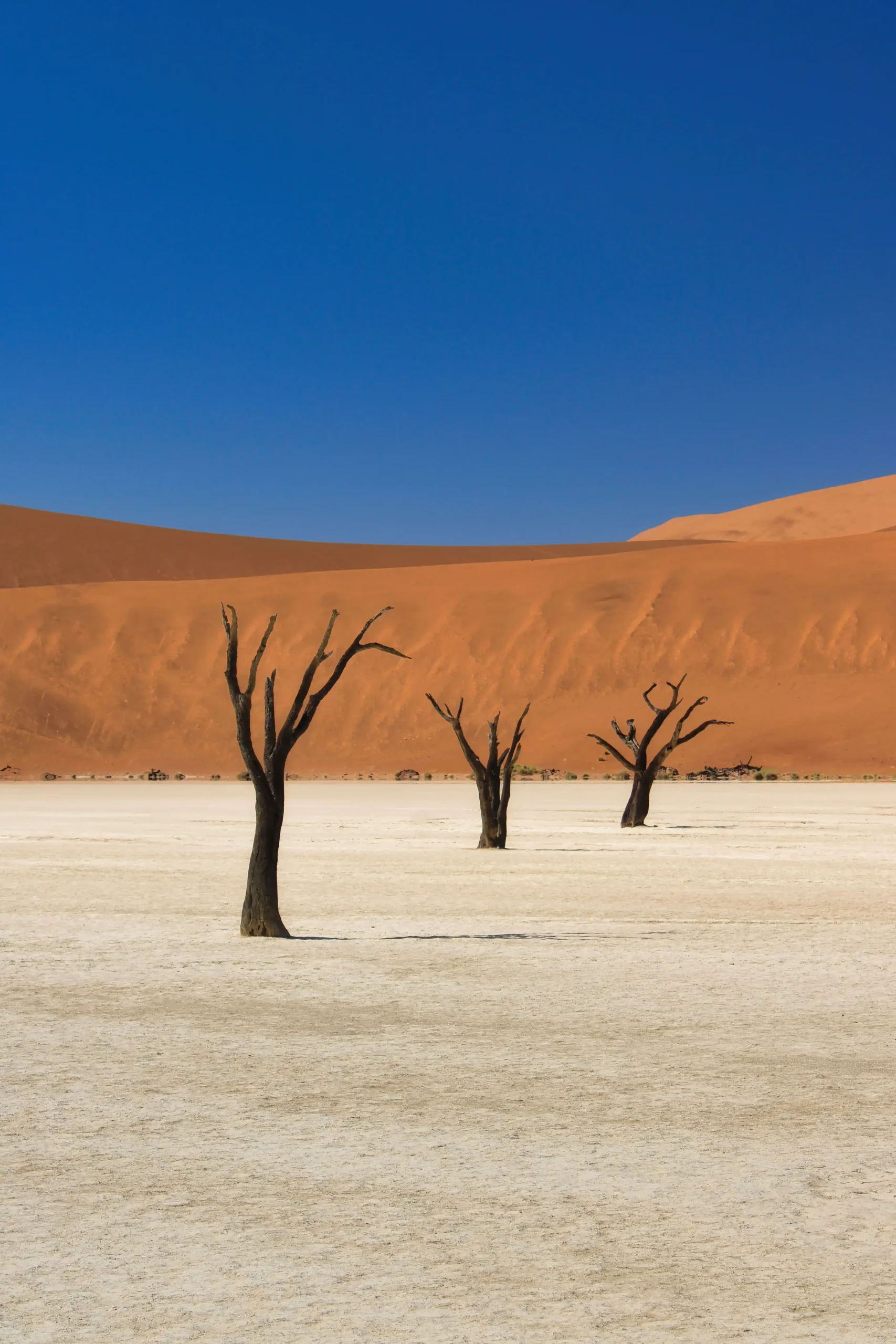 Namibia Where To Honeymoon According To Your Astrological Sign