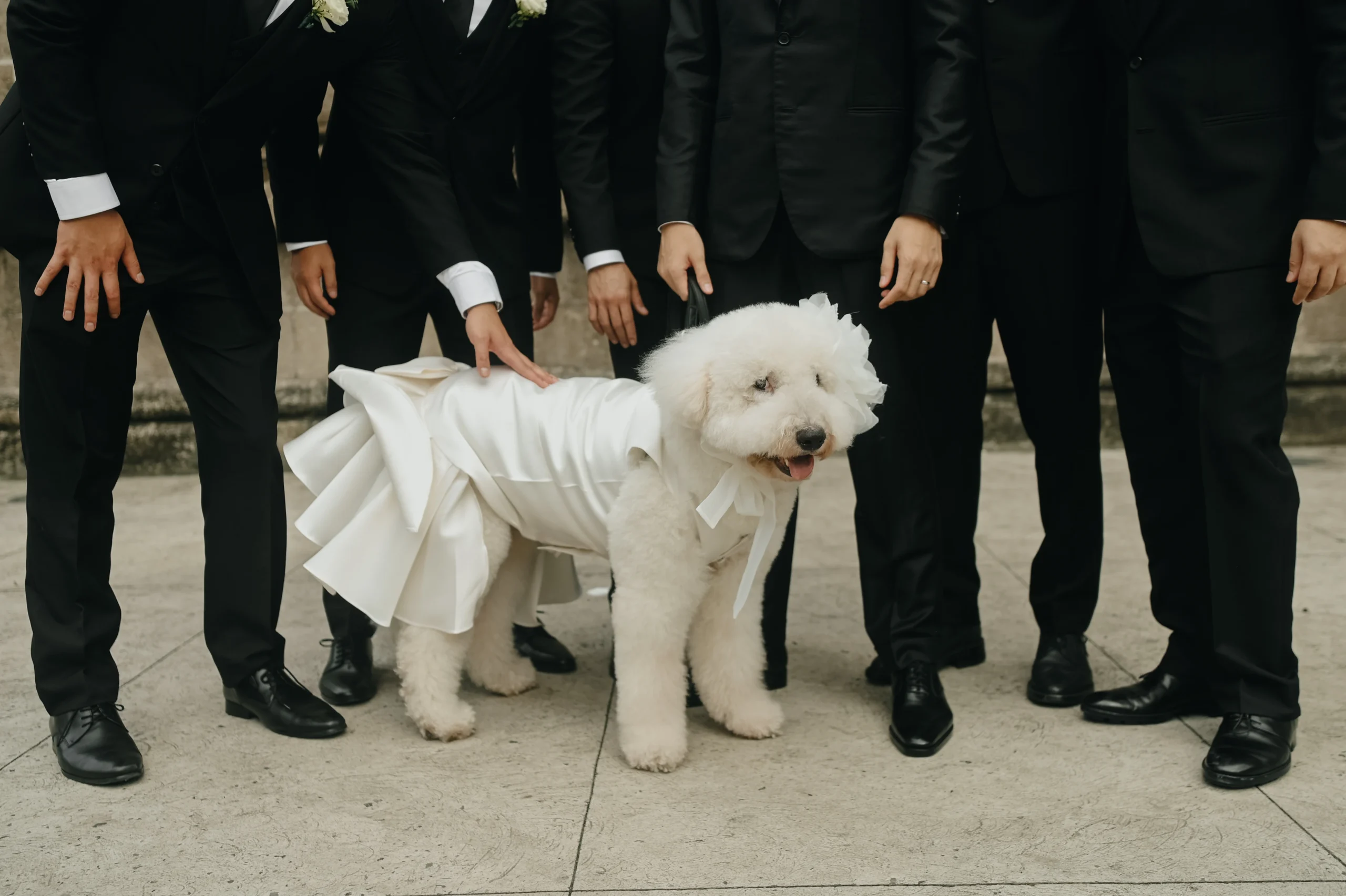 The couple’s dog Winnie wore a dress made from the same fabric as Anja’s Francis Libiran gown