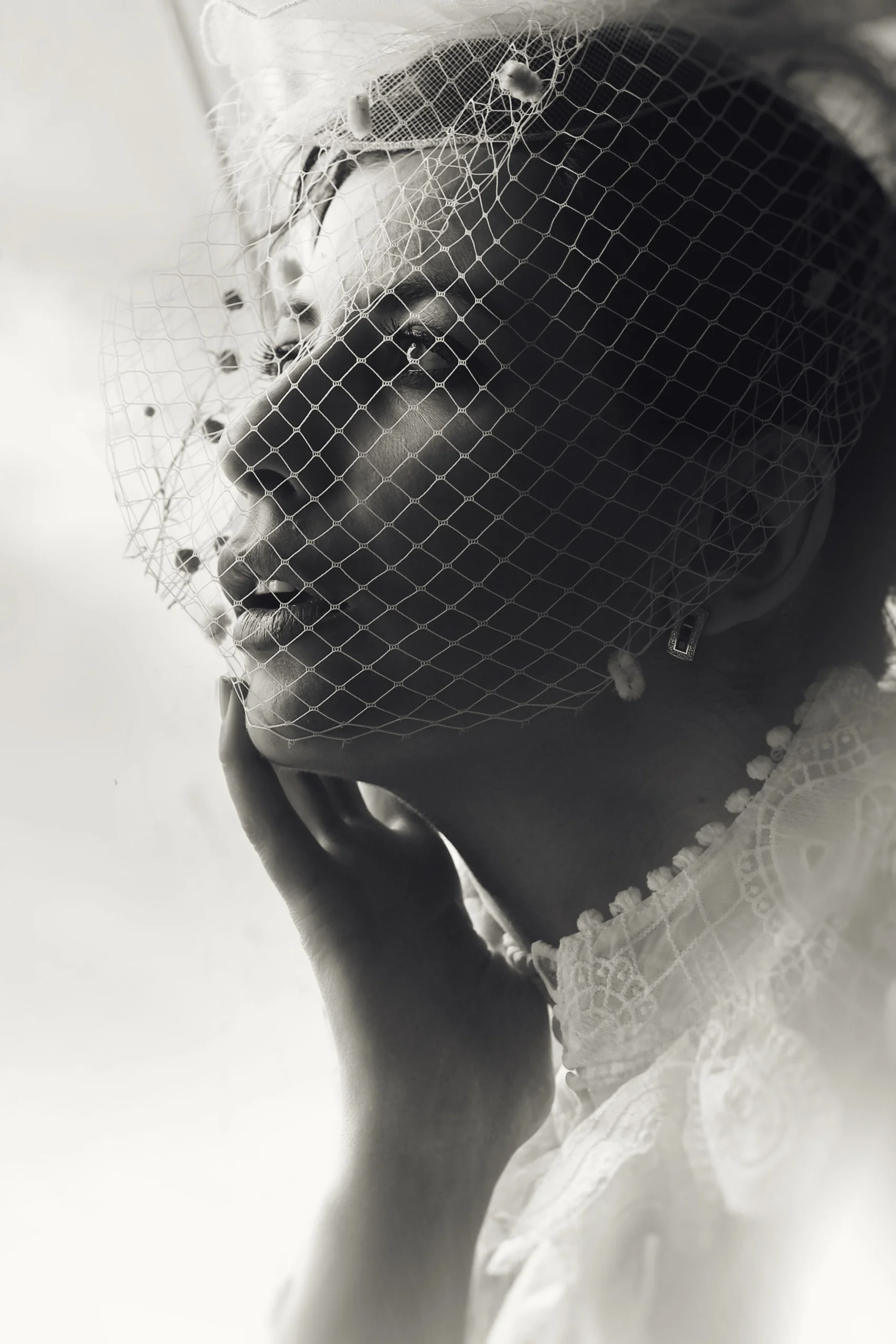 A Birdcage Veil wedding guide