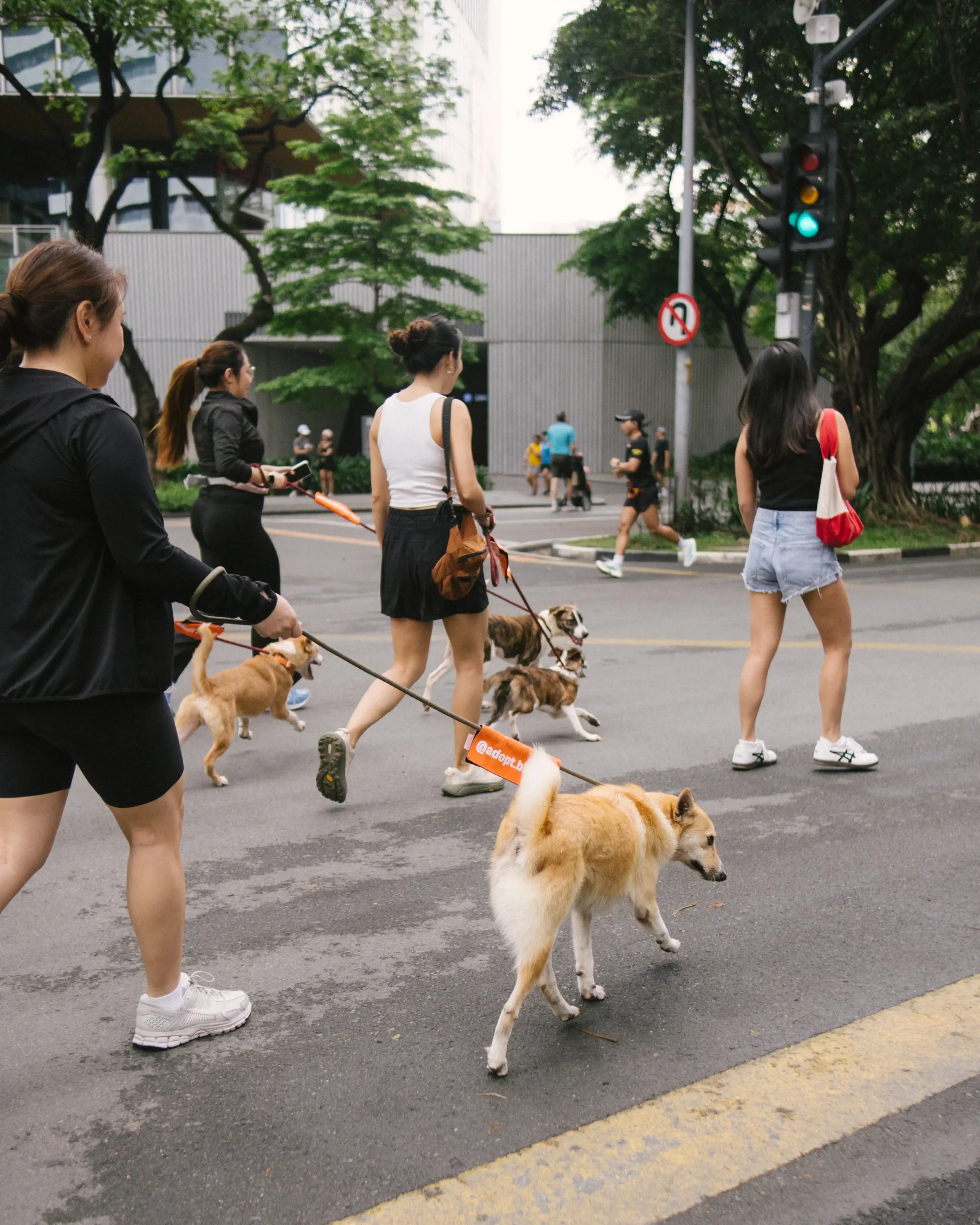 sunday walks biyaya