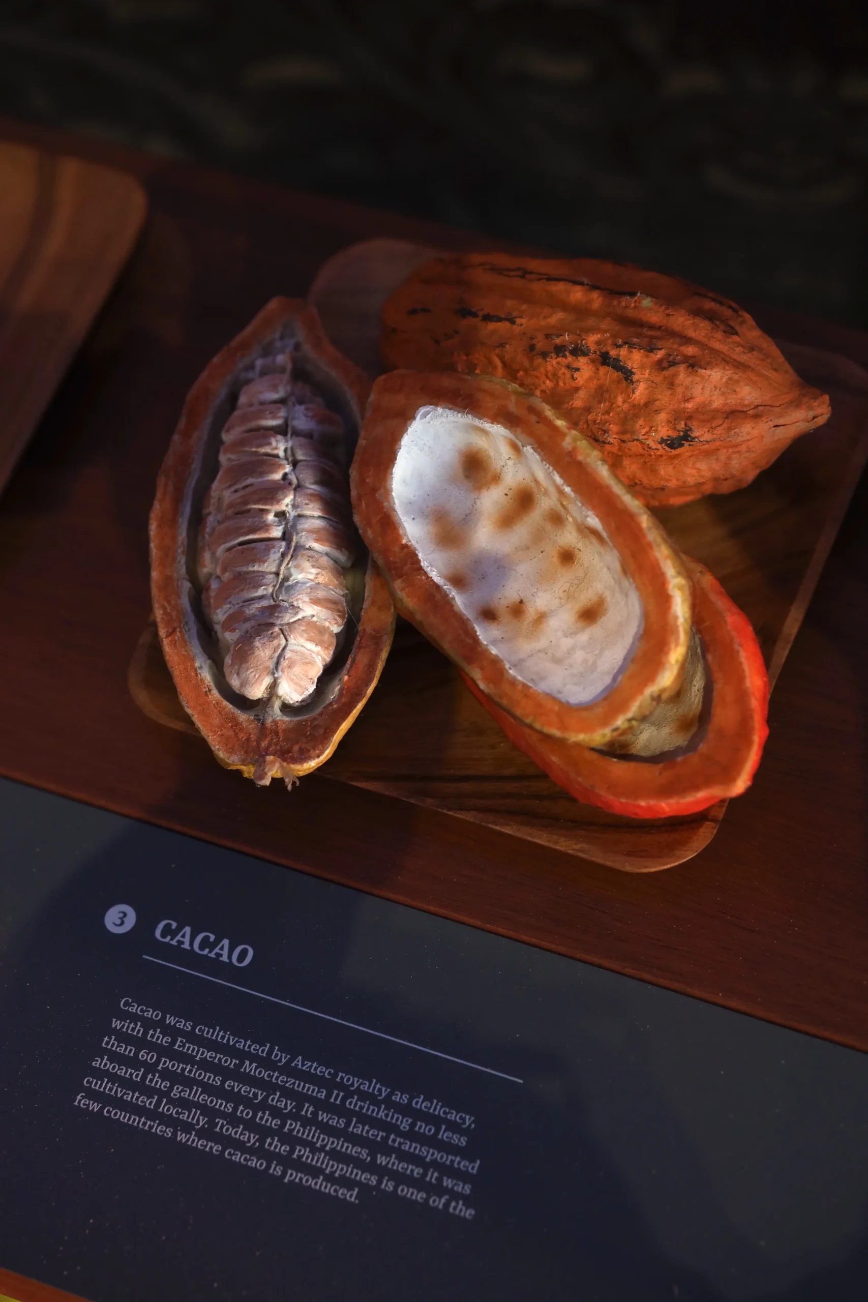 Various products that arrived on our shores through the galleon trade, such as textiles, spices, and ceramics, are also on display at the museum