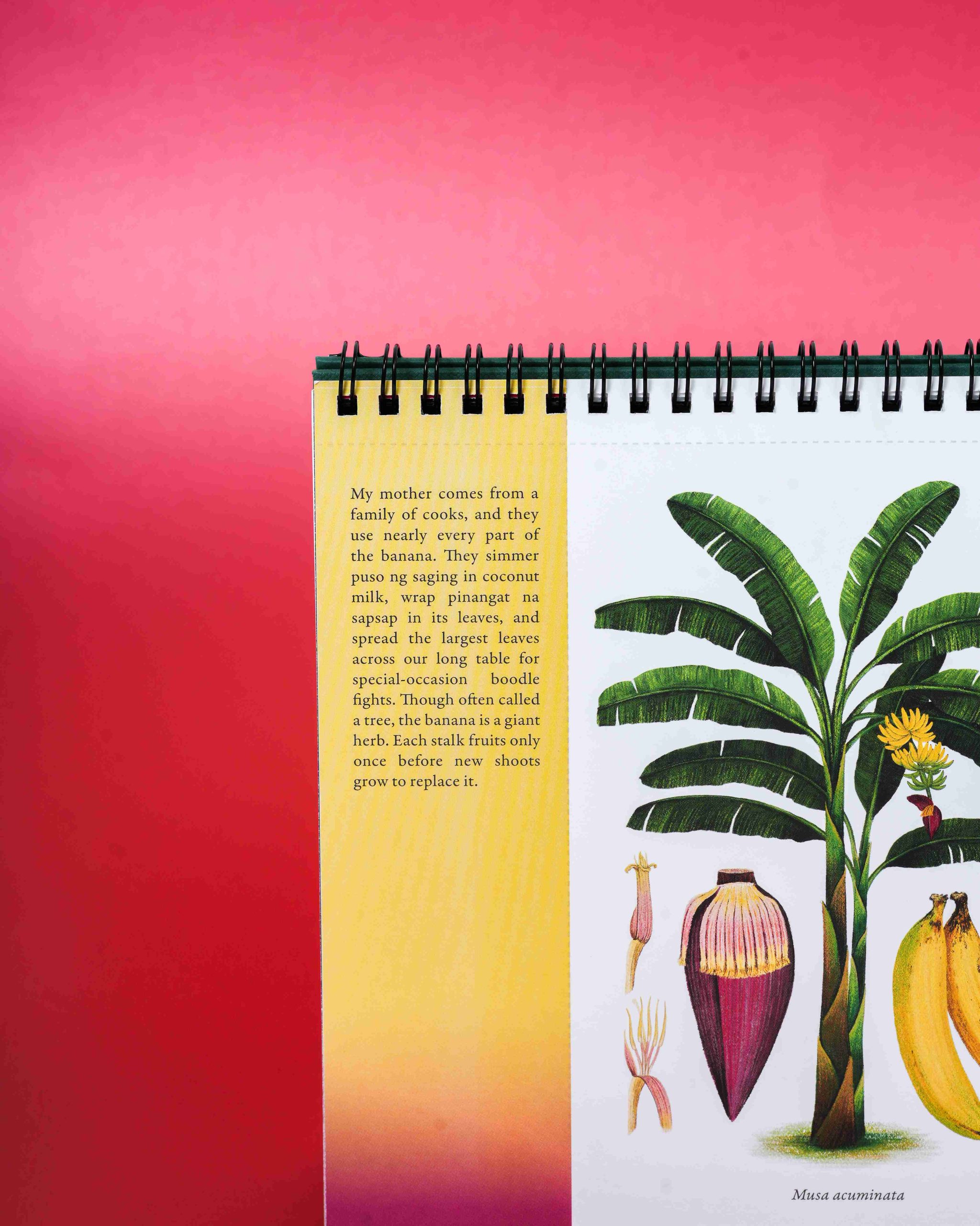 Hardin by Raxenne Maniquiz x Thoughts & Ideas Desk Calendar