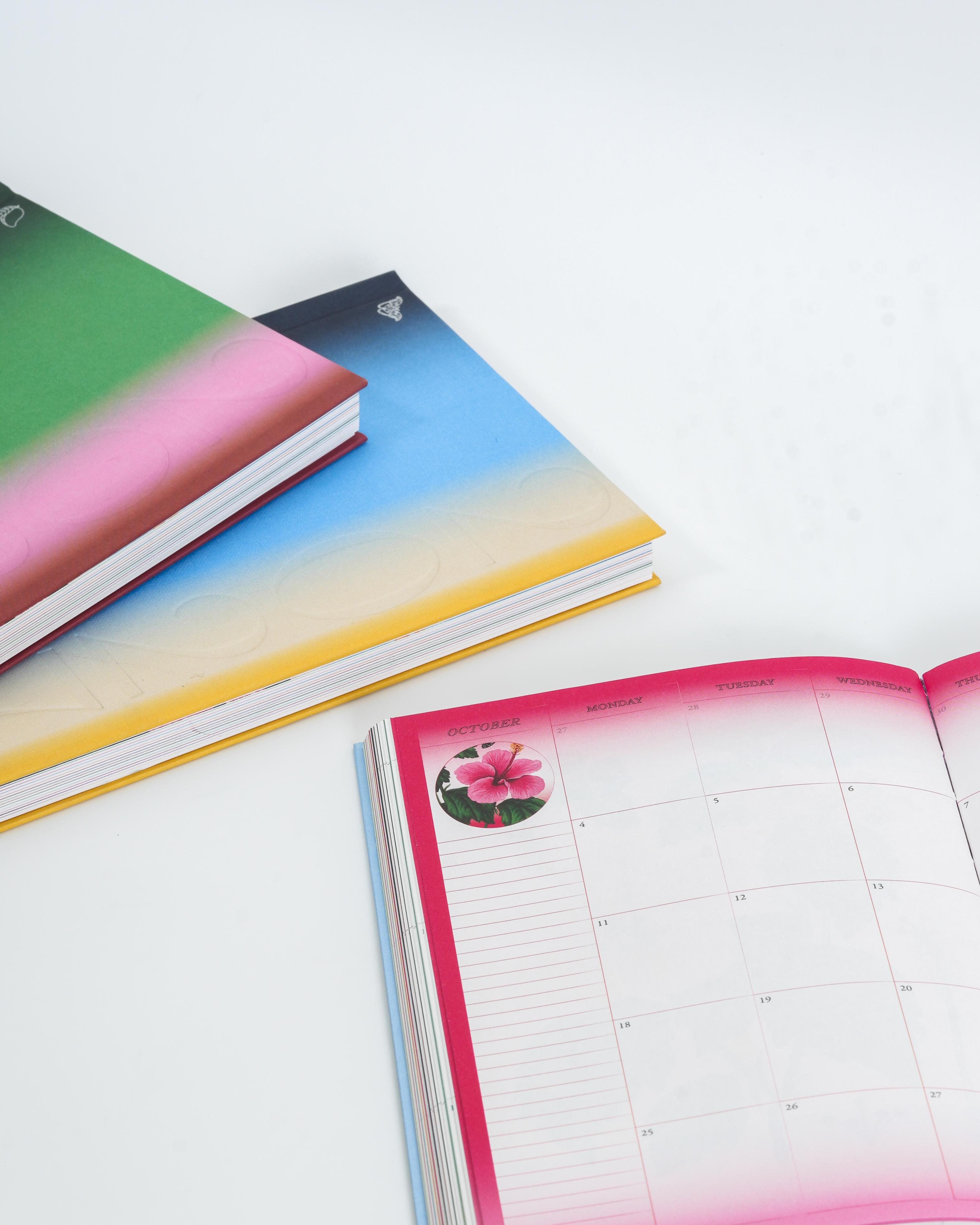 Hardin by Raxenne Maniquiz x Thoughts & Ideas 2027 Planner